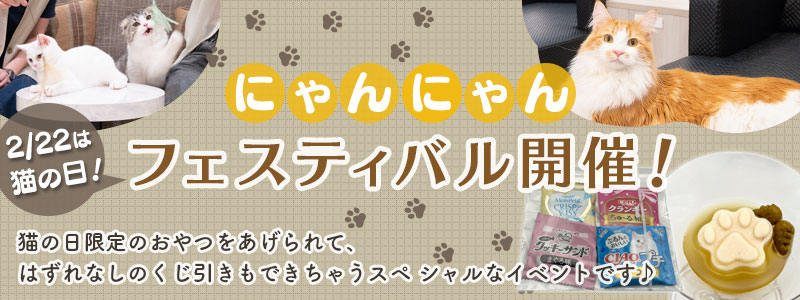 にゃんにゃんフェスティバル開催！